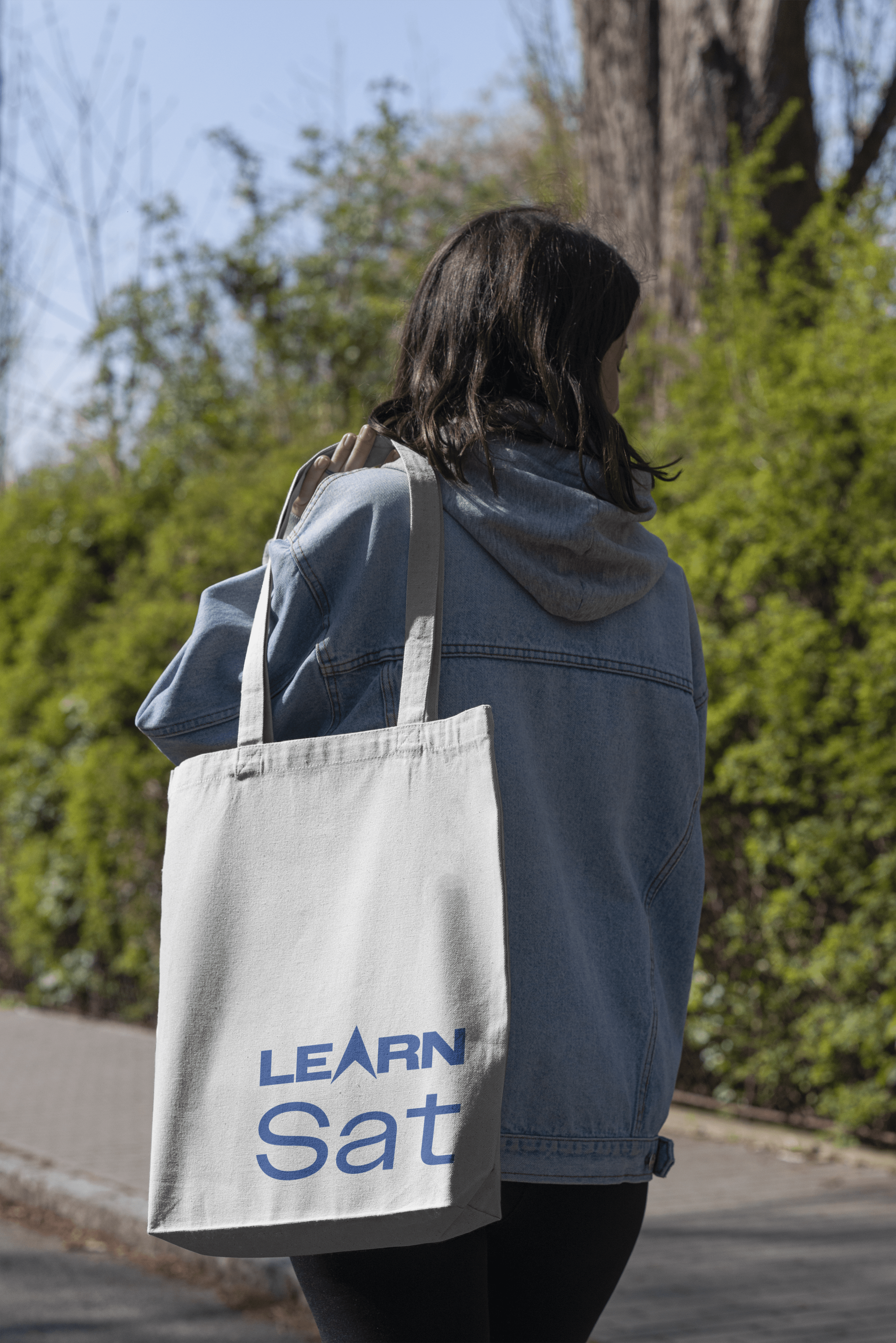 LEARNSat Results (1)