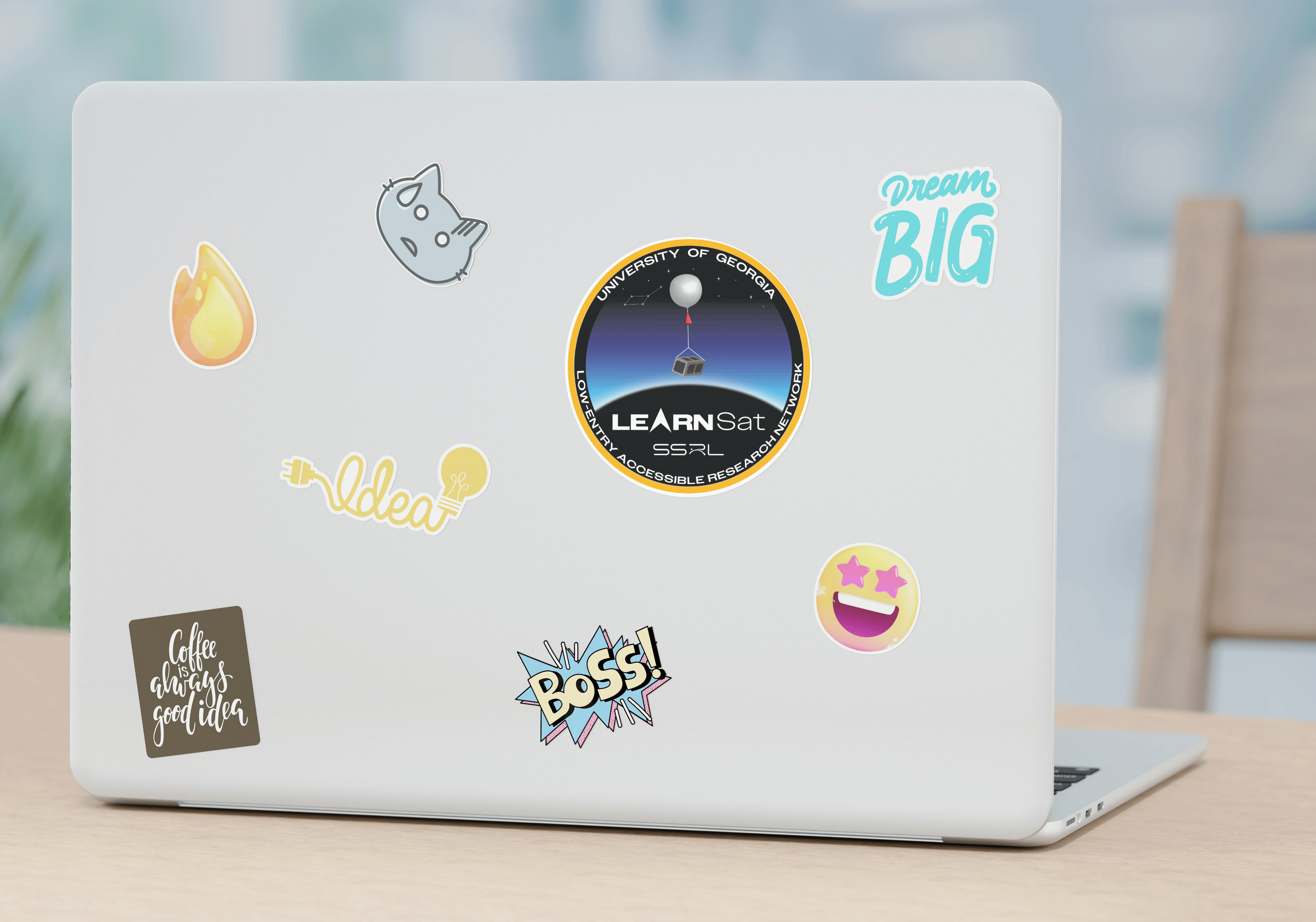 LEARNSat Results (4)