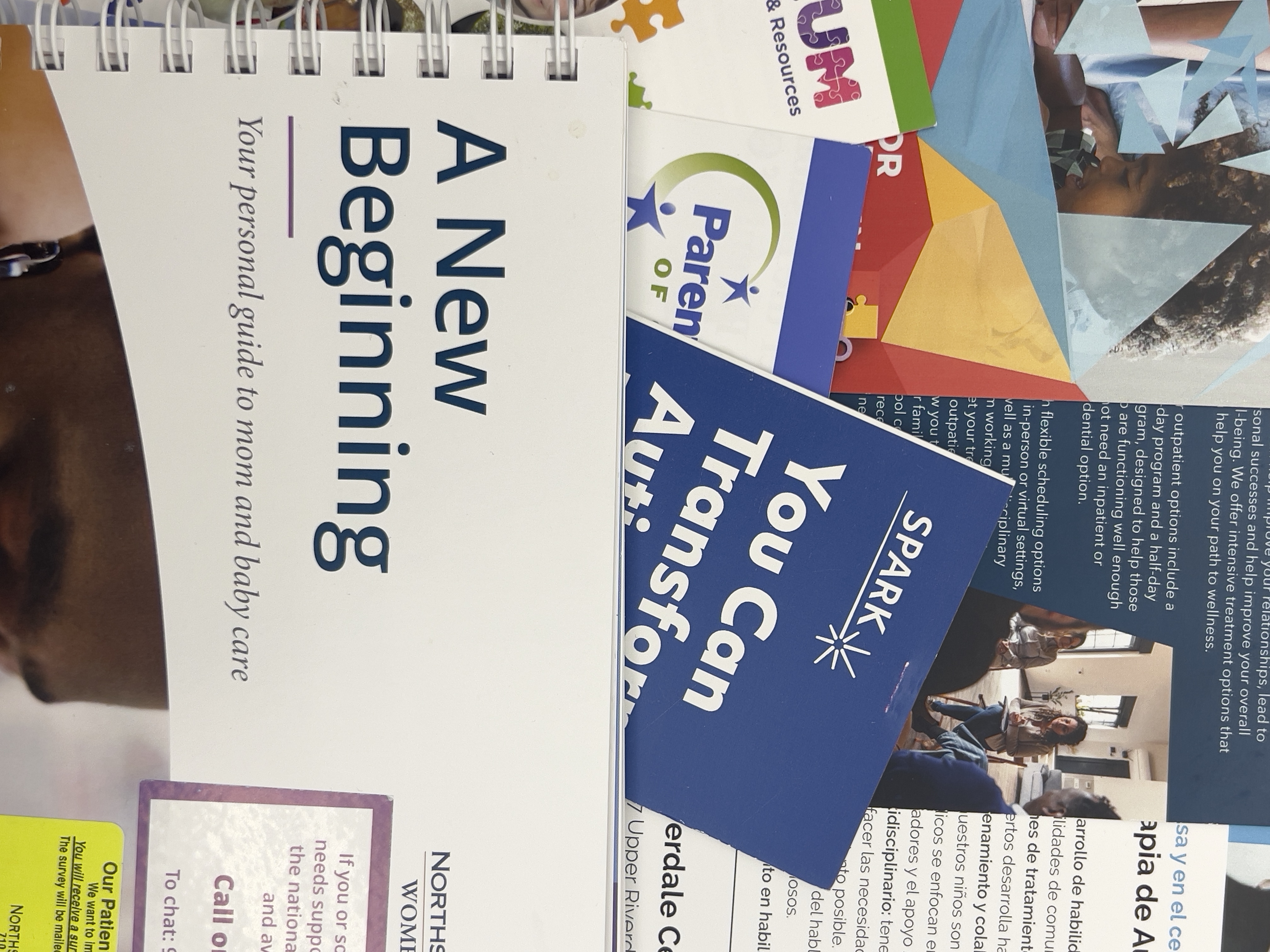 Uncovering Tự Kỷ Process (3)